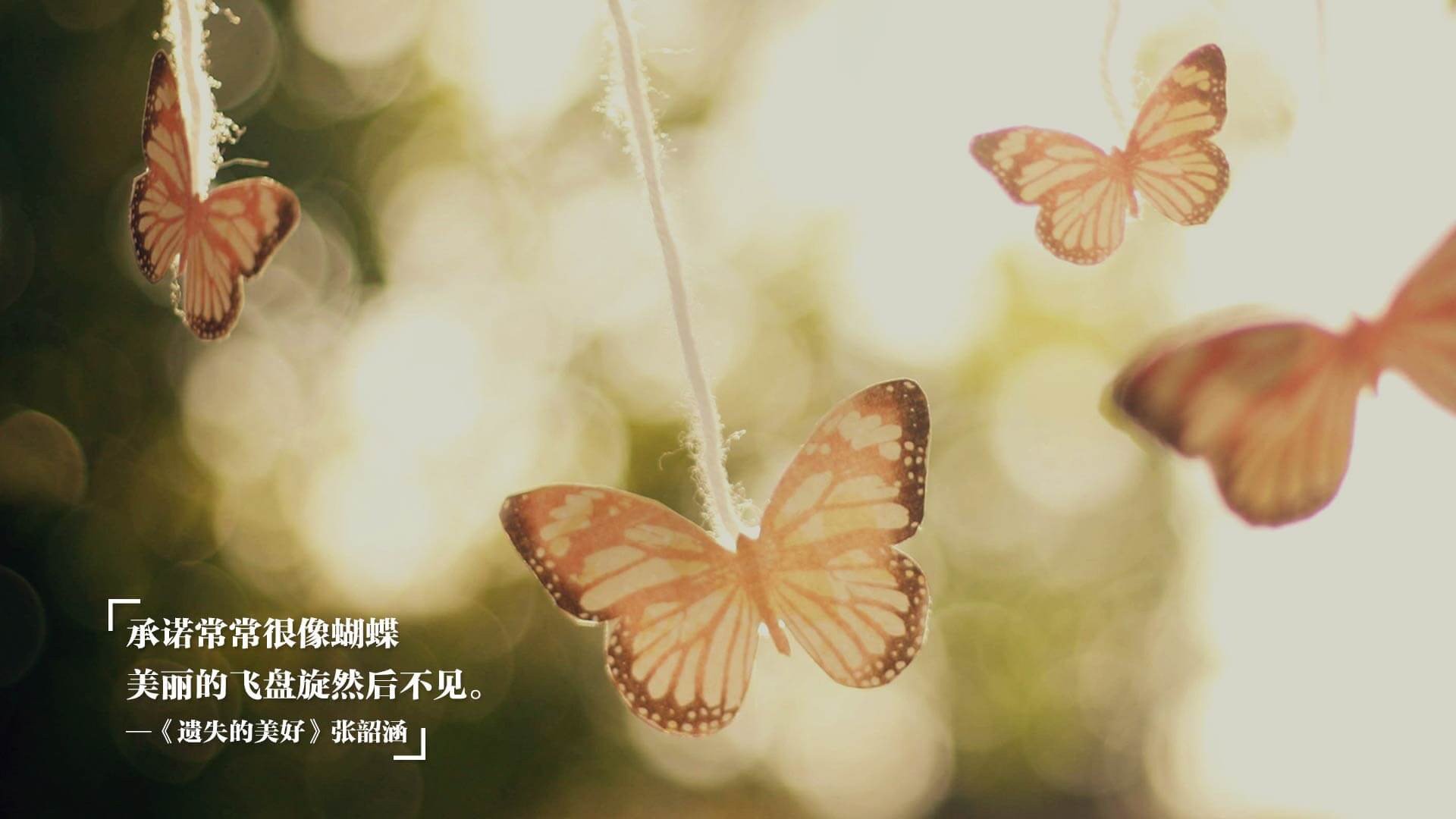 乔治·史密斯精彩逆转，赢得年度台球冠军，乔史密斯拳击