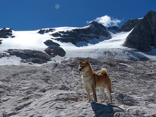 九游app下载中心-_无人机竞速赛：空中速度的全新体验_，无人机飞行比赛视频