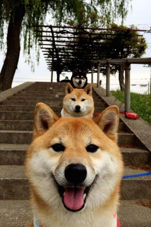 9游电竞资讯-《王者荣耀全球大战，五大赛区强势对决》，王者荣耀有没有全球性比赛