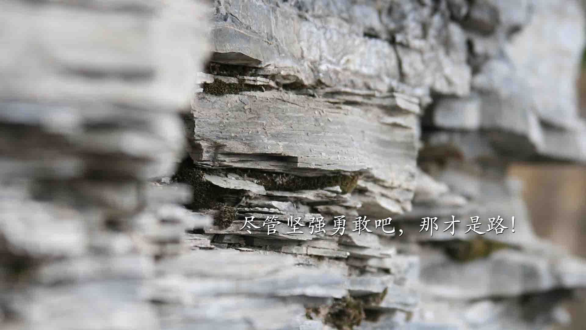 九游平台官网-世界排球锦标赛预选赛激战正酣，中国队稳步前进，排球世界锦标赛赛程时间安排