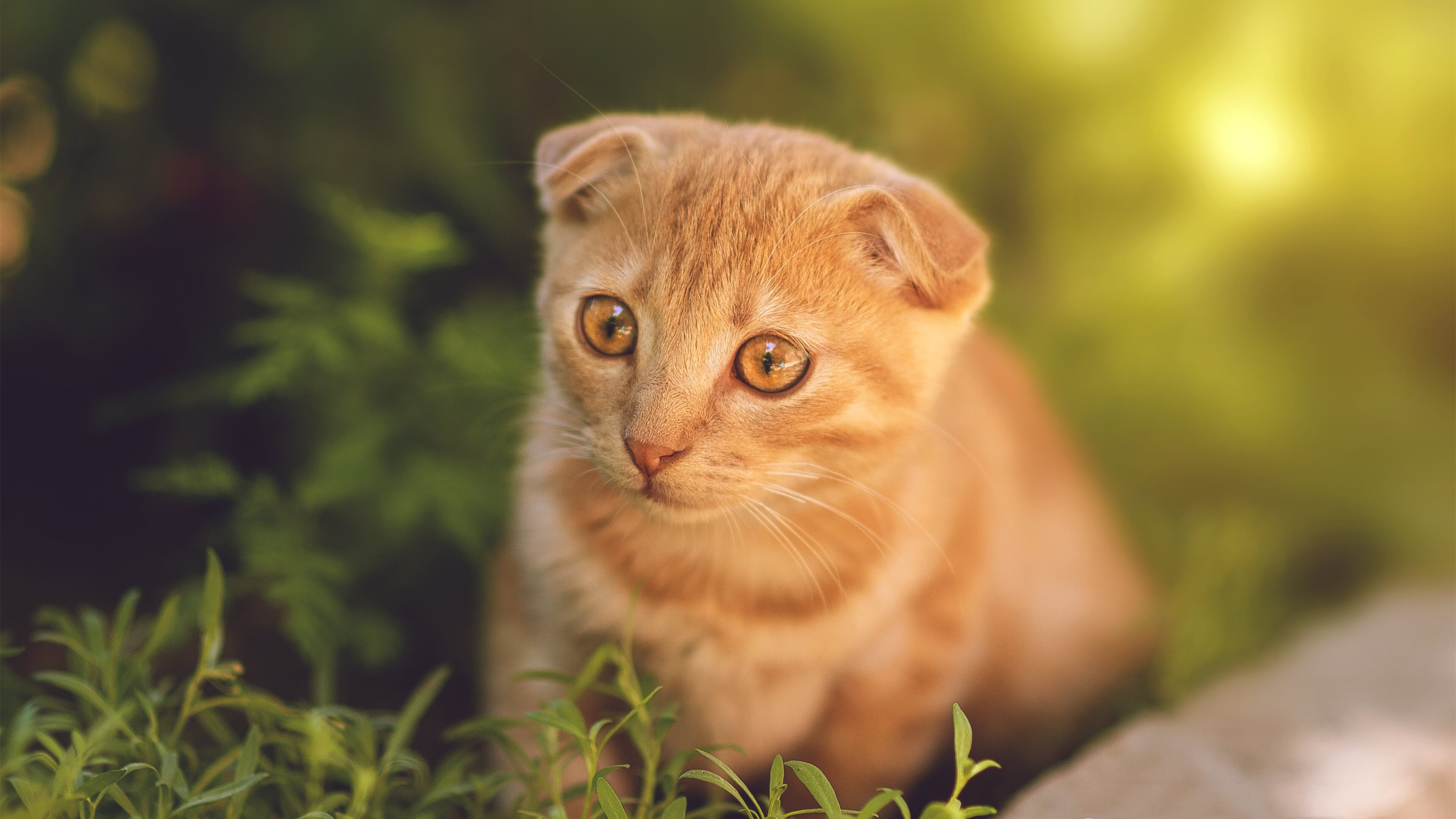 九游登录中心-史上最激动人心“冠军决战”：全场燃爆的瞬间，冠军精彩